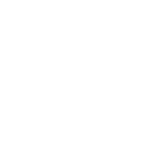 Netshoes logo
